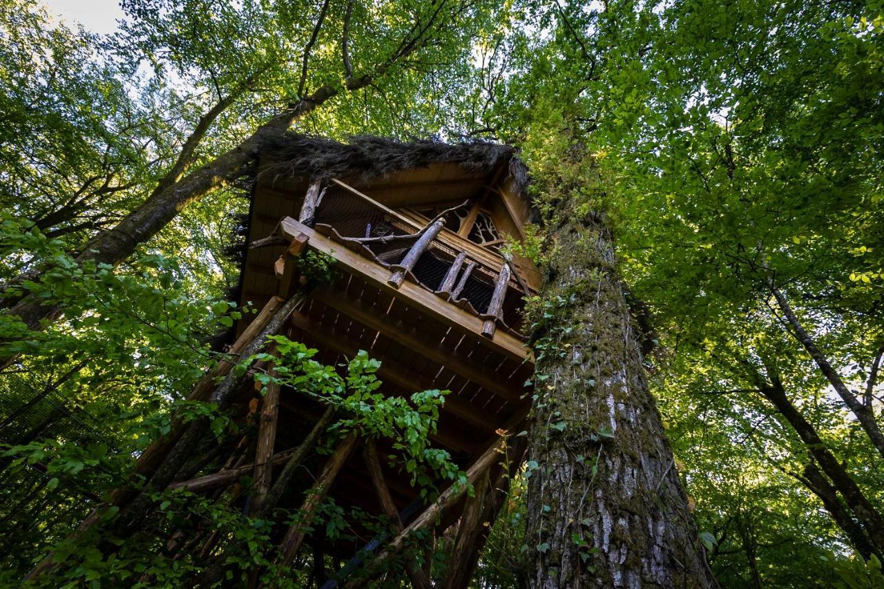 L'Arbre A Cabane Guyonvelle Exterior photo