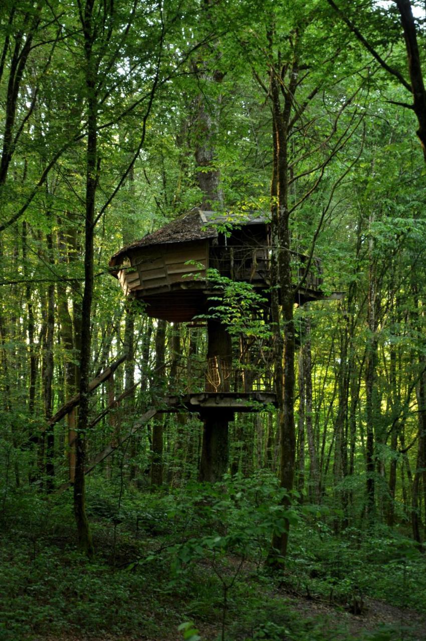 L'Arbre A Cabane Guyonvelle Exterior photo