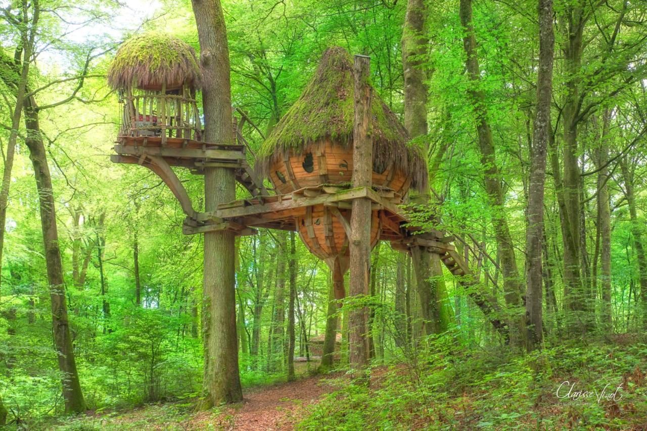 L'Arbre A Cabane Guyonvelle Exterior photo
